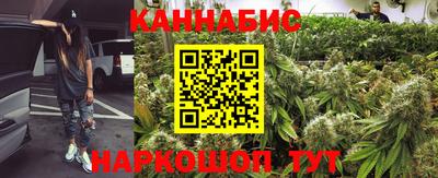 крисы Малгобек