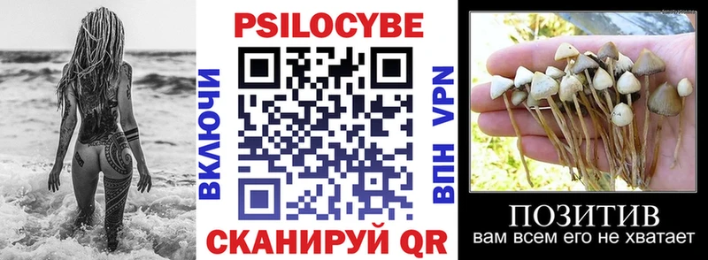 Псилоцибиновые грибы Psilocybine cubensis  дарк нет Telegram  Татарск  продажа наркотиков 