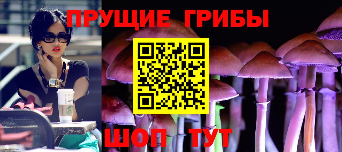Татарск  Псилоцибиновые грибы ЛСД  Псилоцибиновые грибы MAGIC MUSHROOMS  Вход с VPN 